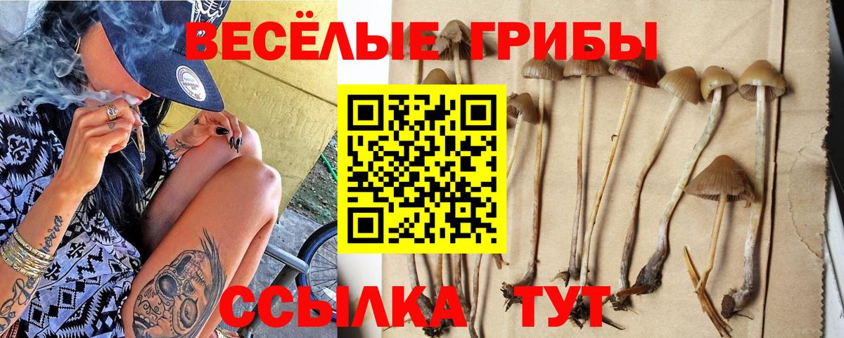 Азнакаево  Галлюциногенные грибы Magic Shrooms  Псилоцибиновые грибы прущие грибы  Вход с VPN 